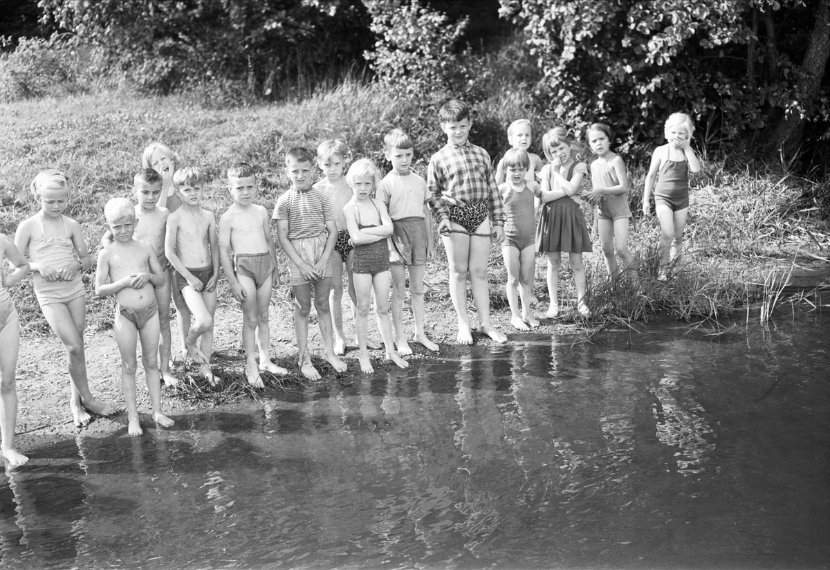 "Upsalasmåttingar på grönbete" - Eda skollovskoloni, Lagga socken, Uppland juni 1954