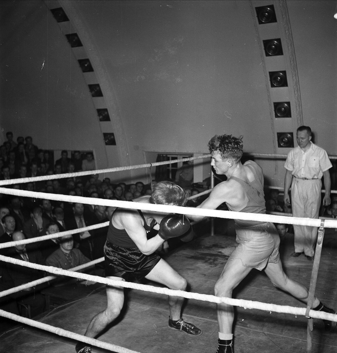 Boxningsmatch - Storm och Lilja på Bluffen, Uppsala