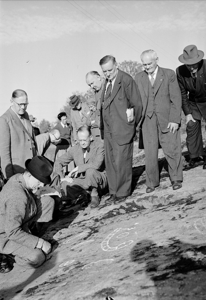 Einar Kjellén visar Upplands fornminnesförening Stora Rickebyhällen, Rickeby, Boglösa socken, Uppland 1953