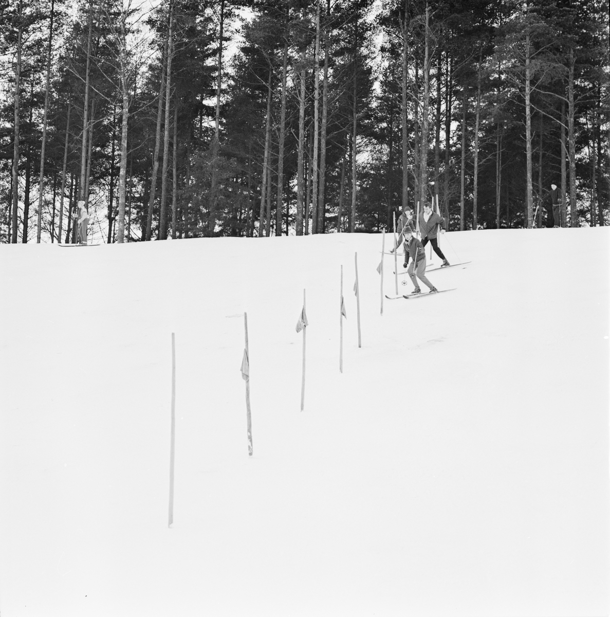 Vintersport i Sunnersta, Uppsala januari 1962