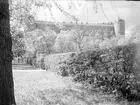 Uppsala slott, från Svandammen, Uppsala