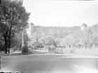 Svandammen och Uppsala slott, Fjärdingen, Uppsala