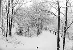 Slottsbacken i snö, Uppsala