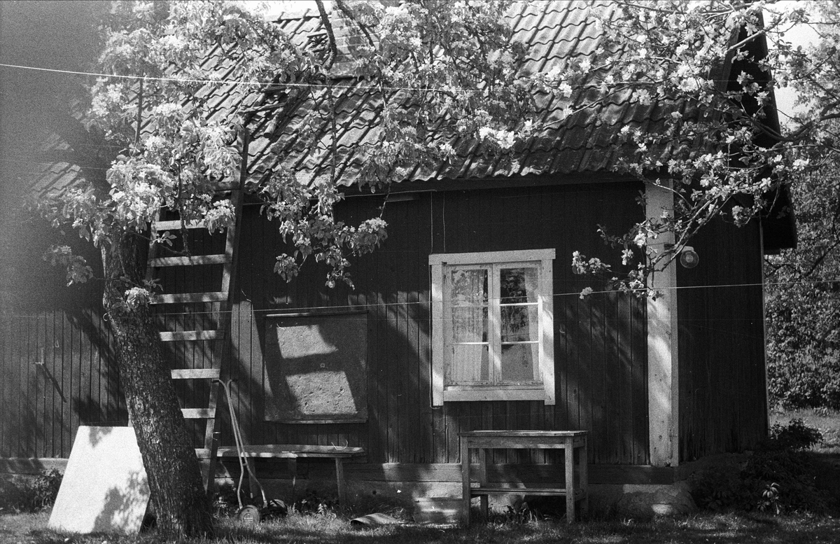 Enkelkammarstuga