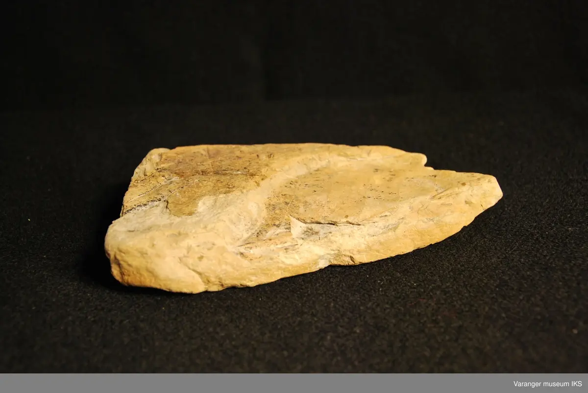 Fossil