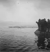 Simning vid idrottstävling mellan F 2 Roslagens flygflottilj och F 3 Östgöta flygflottilj på Fårösund, 1942.