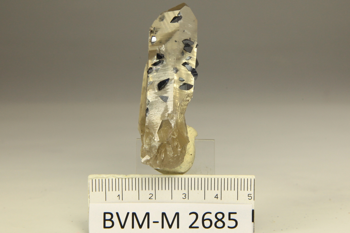 Jenkintown, PA => Philadelphia Academy of Natural Sciences
