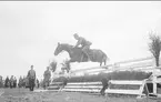 Livregementets husarers officerskårs sportförenings (LHOS) tävlingar 1931 på södra fältet. Löjtnant Carl-Otto Palmstierna på tjänstehästen Sam efter Solid * * - Reform.