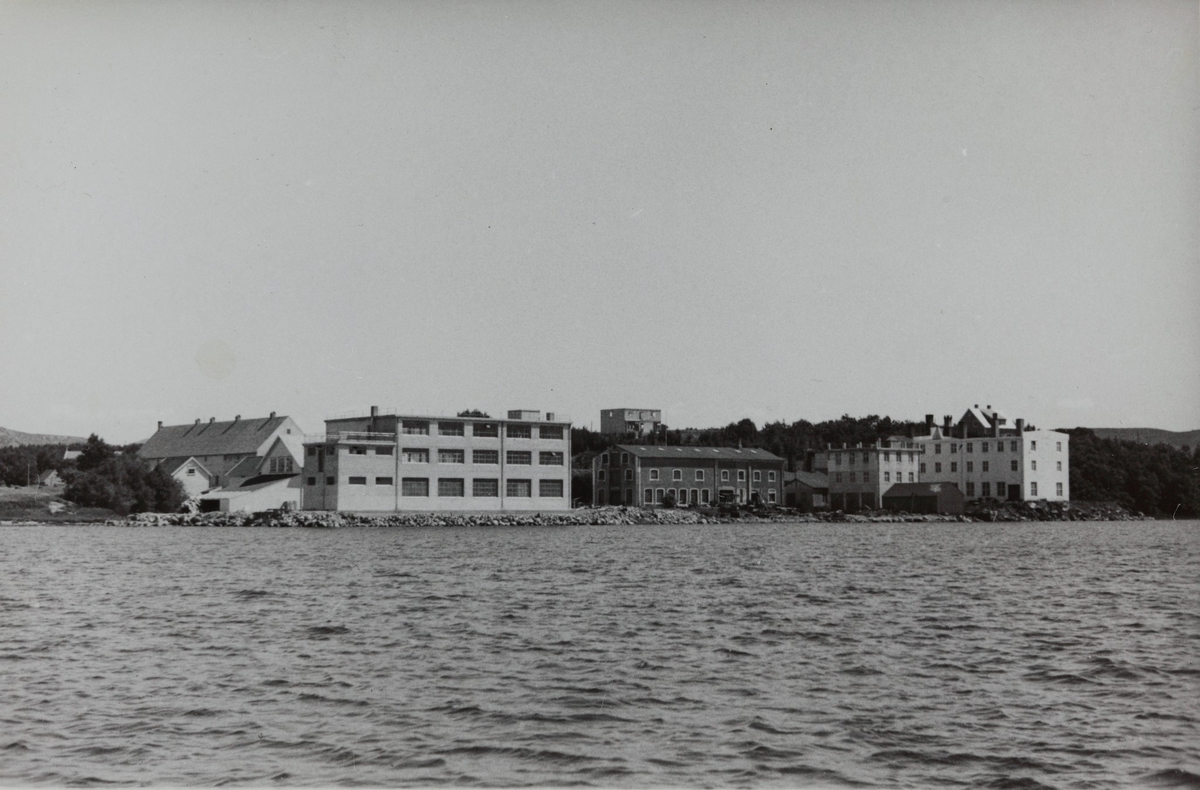 Fabrikkanlegget sett fra Frøylandsvatnet, bygningen f.v. løa, høybygget, 1929-bygg og kontorbygg, oppe i midten hus til Håkon Kverneland