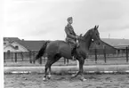 Ridkurs 12/10 1954-13/5 1955 Strömsholm.Sergeant Ewert Olausson på 