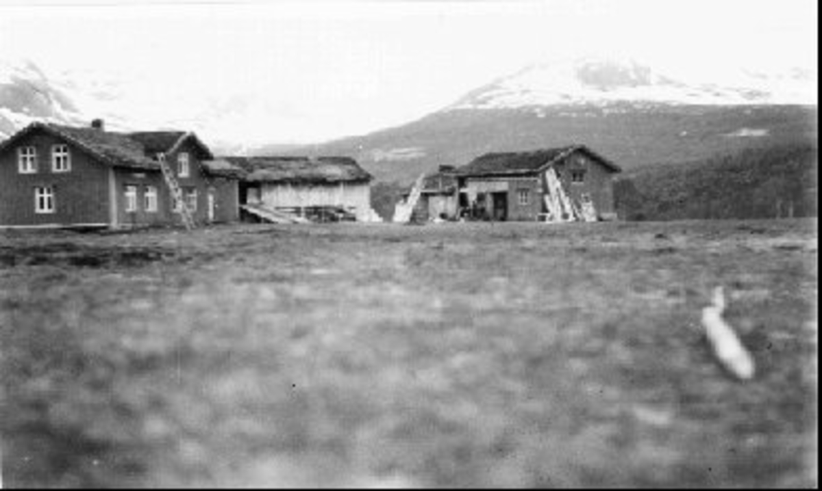 Hus, fjøs, uthus