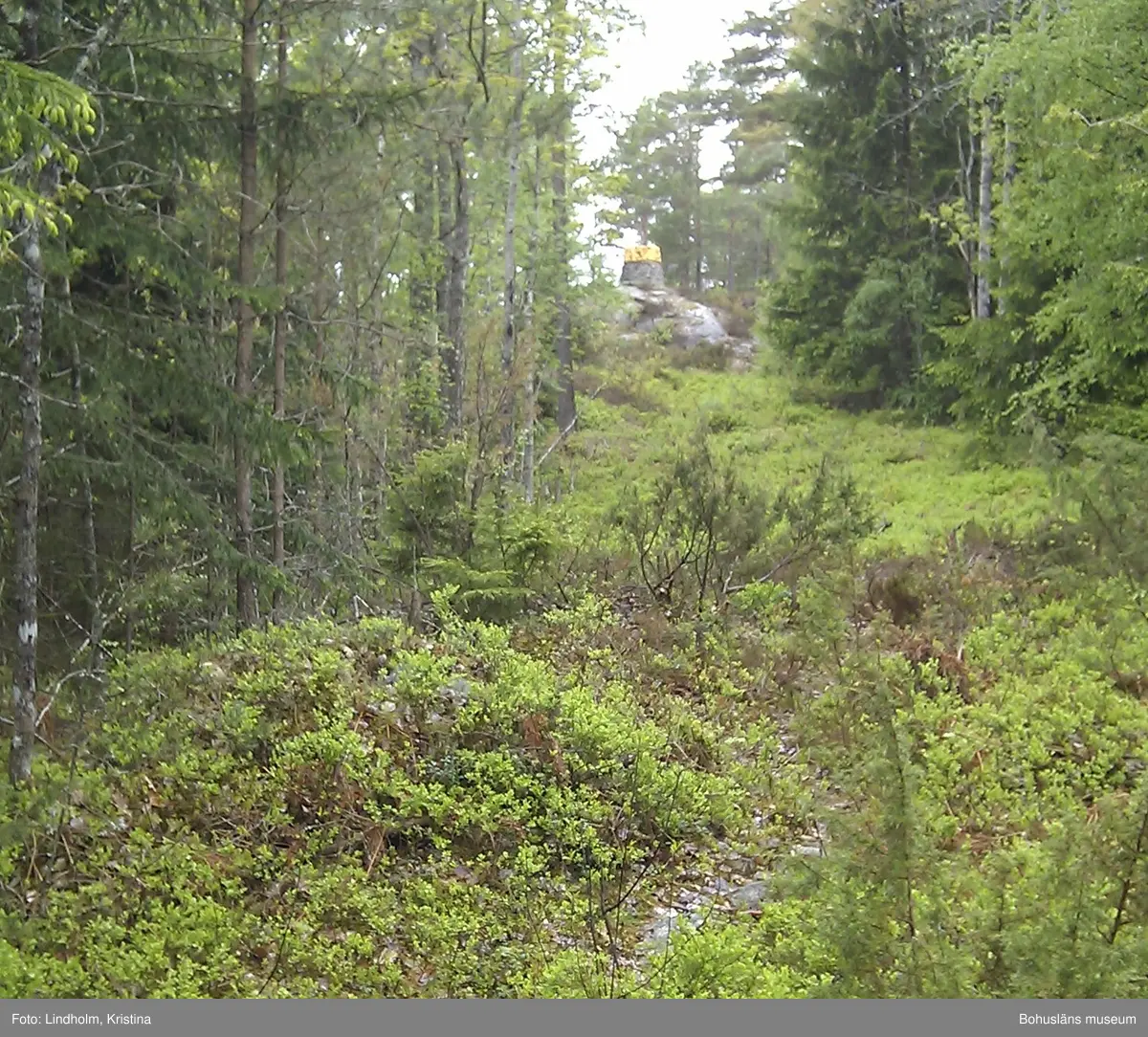 Här bodde Vilhelm Korsgård i början av 1900-talet i ett hus alldeles invid svensk-norska gränsen.

Her bodde Vilhelm Korsgård på begynnelsen av 1900-tallet i et hus like ved den svensk-norske grensen.