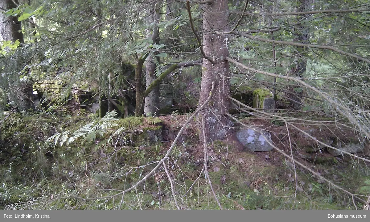 Ruinen efter bostaden på Silkemyr visar ett delvis ingrävt jordhus med murade väggar invändigt. Här bodde Julia Gustava Olausdotter med sina yngsta söner några år i början av 1900-talet.

Ruinen etter bostedet på Silkemyr viser et delvis inngravd jordhus med murte vegger innvendig. Her bodde Julia Gustava Olausdotter med sine yngste sønner i noen år på begynnelsen av 1900-tallet.
