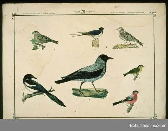 Ur handskrivna katalogen 1957-1958:
Ark för Små-Skolan
14 st. Gåva av Fredrik Sandberg.