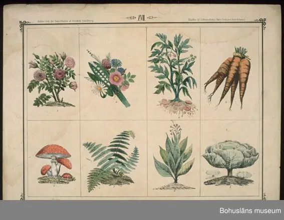 Ur handskrivna katalogen 1957-1958:
Ark för Små-Skolan
14 st. Gåva av Fredrik Sandberg.