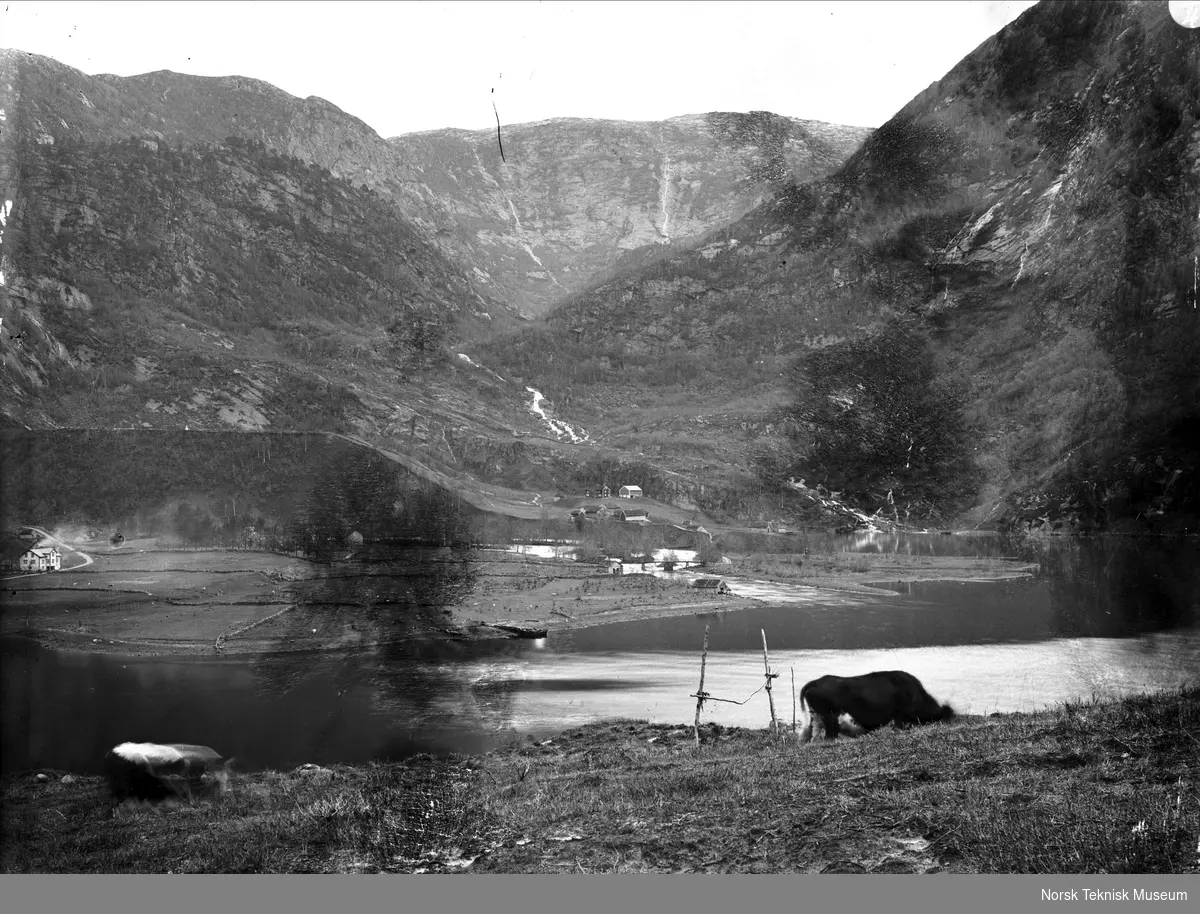 Utsikt over Matre fra Øen, oktober 1906