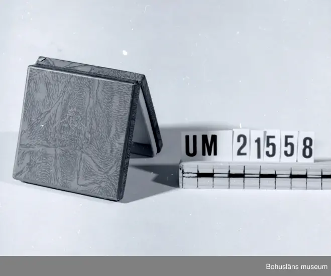 594 Landskap BOHUSLÄN

Asken är blå med guldkanter, inuti gul sammet. Märkt på locket: "Etab 1879 Guldsmed.J.A. Bokström Uddevalla".
