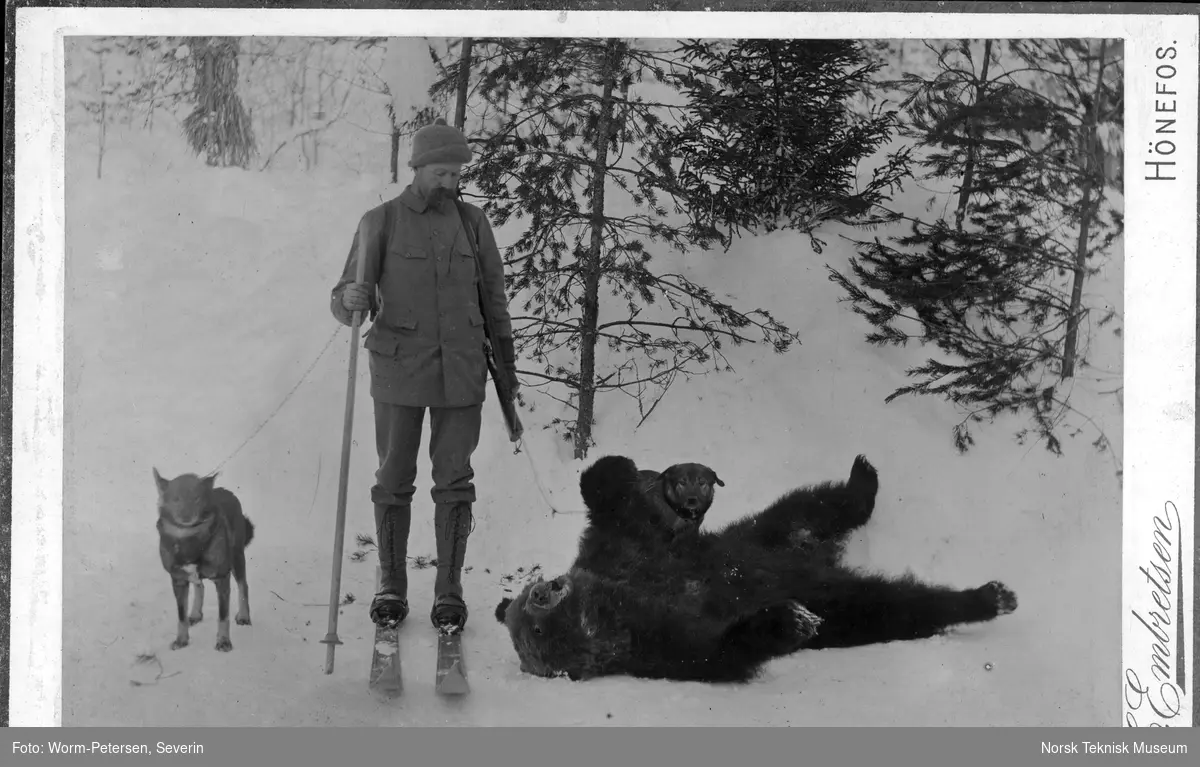 Elg- og bjørnejegeren Knut Berg med bjørn