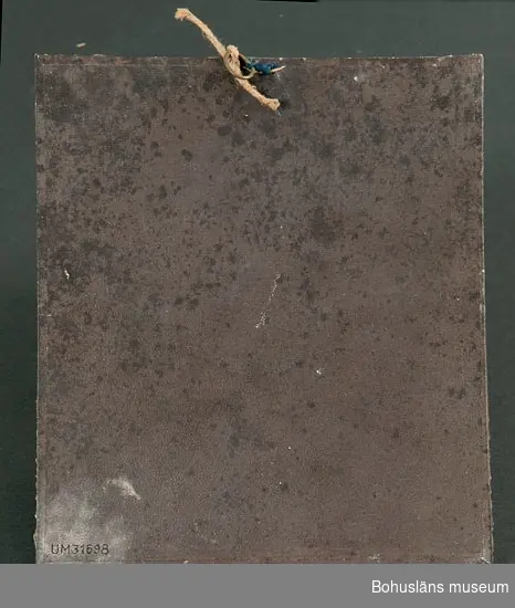 Tavla med silkesmaskens hudfällningar med förklarande text: Silkesmaskens första, andra, tredje och fjerde hudfällning. Götheborg i Juli 1862. Till Uddevalla Museum af J. A. Rossing.

Bilagepärm: Ett tryckt blad med beskrivning på hur man odlar silkeslarver på Sconzonera Hispanica undertecknat av J.A. Rossing. Götheborg, M. Prytz''s Officin 1848.