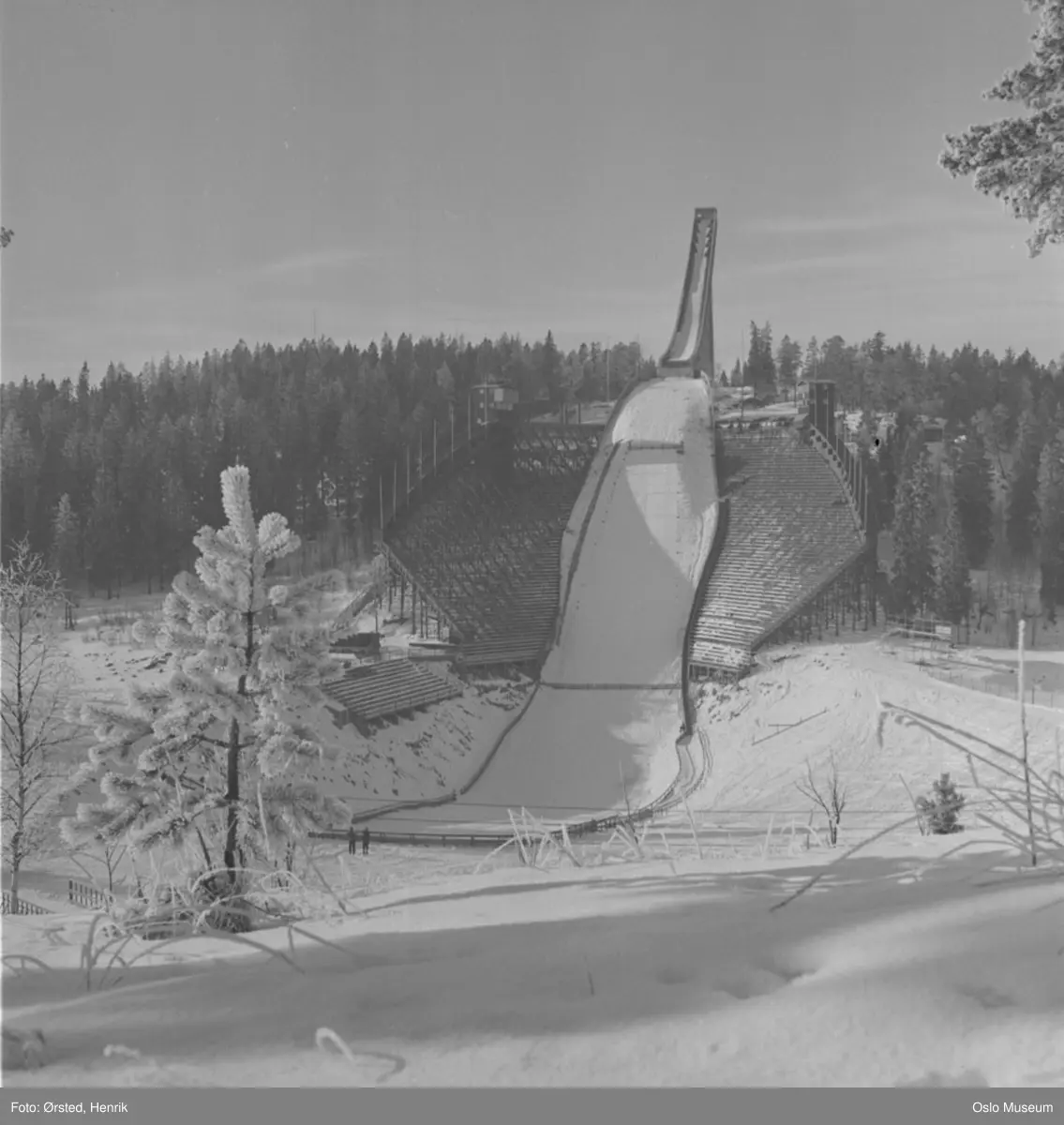 Holmenkollbakken, skog, snø