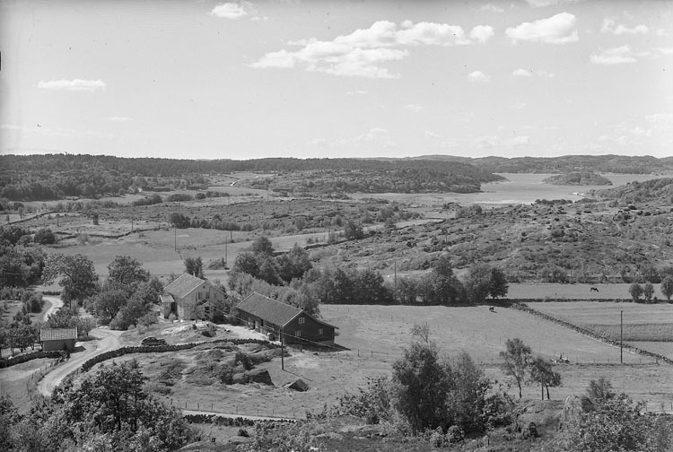 Jordbrukslandskap vid Berga by på Tjörn 1955