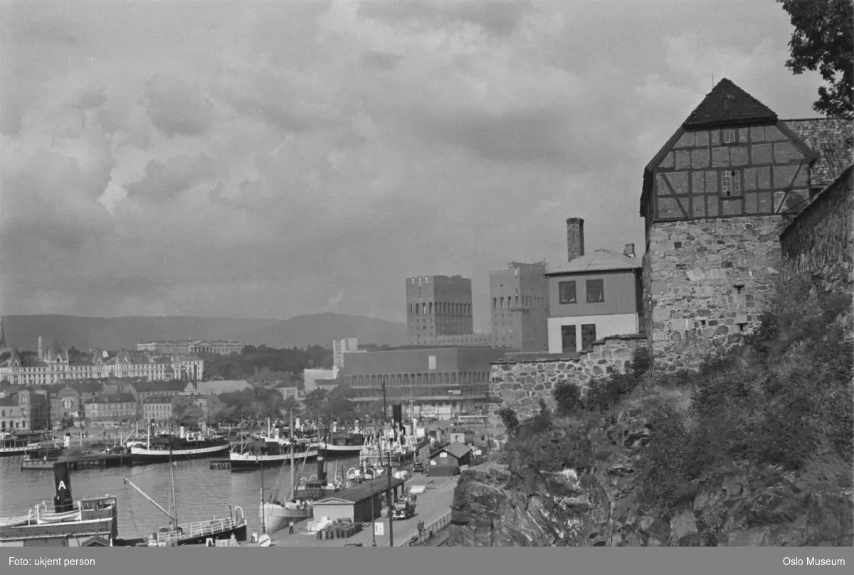 utsikt, fjord, havn, skip, dampbåter, by, Rådhuset, Vestbanestasjonen, Victoria terrasse, Slottet