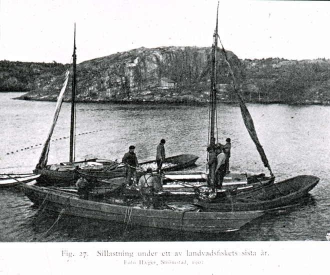 Text på skioptikonplåten: "Fig. 27. Sillastning under ett av landvadsfiskets sista år. Foto Haeger, Strömstad, 1903."