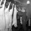Julgrisslakt på  Västra Sveriges Slakteriförening (V.S.S. eller VSS) Uddevalla den 10 december 1956.