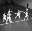 Handbollsmatch