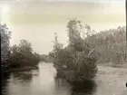 11/7 1895. 5 vyer från Floda.