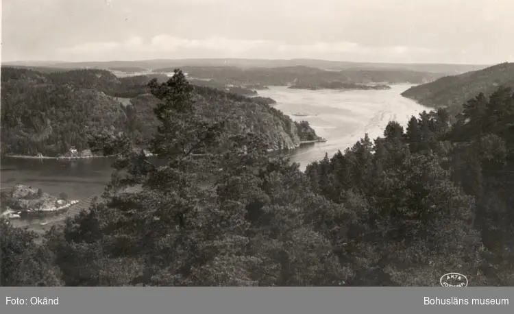 Tryckt text på kortet: "Motiv från Svinesund".
"Foto & Ensamrätt A/B Almqvist & Cöster, Hälsingborg".