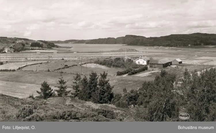 Tryckt text på kortet: "Utsikt över Lökebergsviken".
"Ensamrätt & Foto: O. Lilljeqvists Konstförlag. Dals Långed. G297".
"Förlag: A. Elfström, Lökeberg".