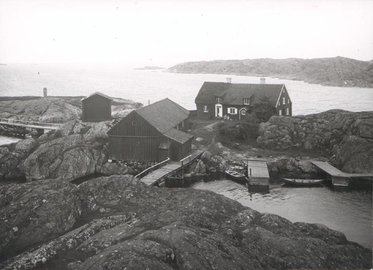 Noterat på kortet: "KÅLHUVUDET TJÖRN".
"FOTO (E83) DAN SAMUELSON 1924. KÖPT AV DENS. DEC. 1958".