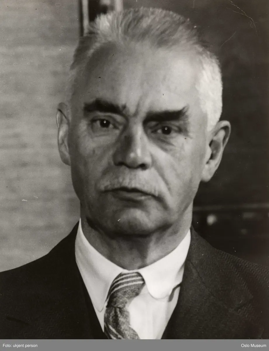 portrett, mann, historiker, professor, politiker, utenriksminister, brystbilde