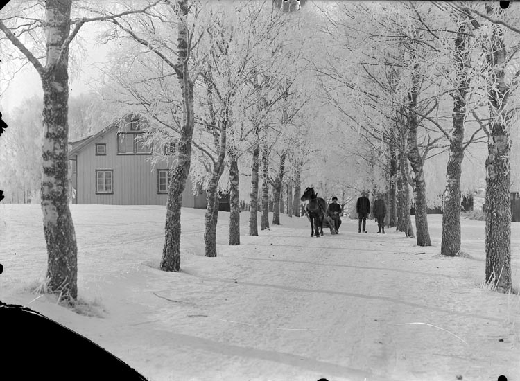 Enligt fotografens noteringar: "1914 Plåt från första världskriget."