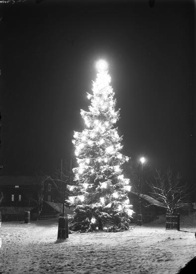 Enligt fotografens noteringar: "Julgran Granen i Munkedal 1930."