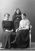 Enligt fotografens journal nr 3 1916-1917: 
