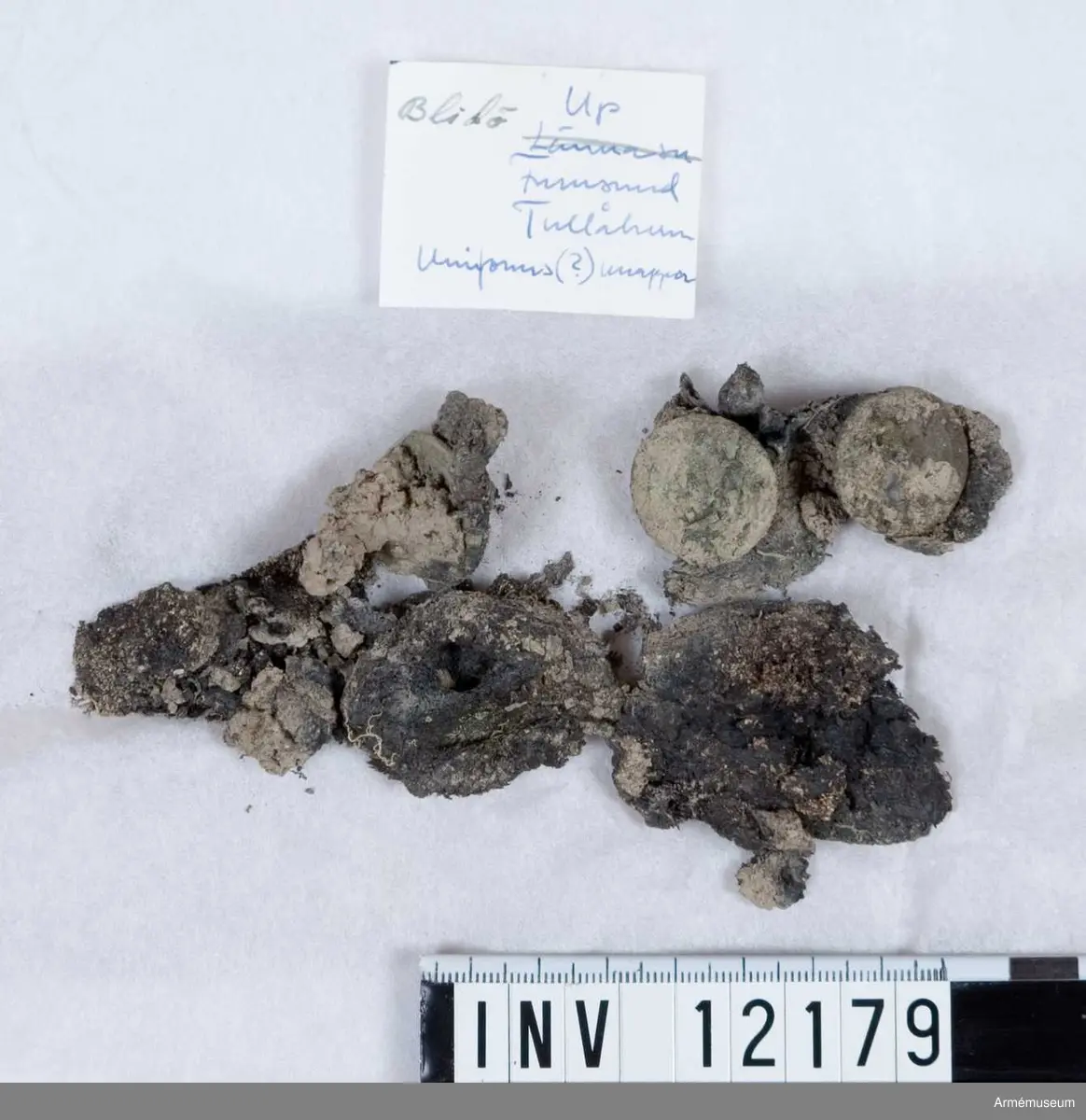 Grupp C I.
Dräktfragment med knappar. Jordfynd 1959, Blidö Furusund Tullåkern.