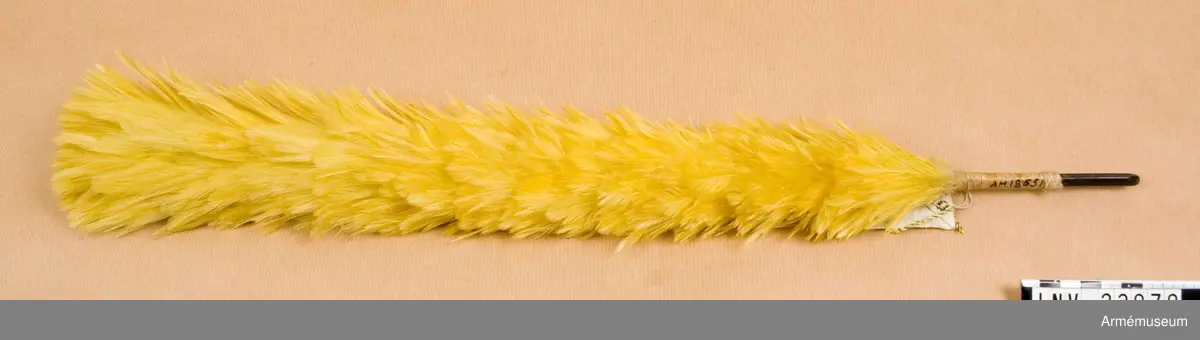 Gul, av smala fjädrar att begagnas i Södermanlands reg:s tschakåer före 1833 (?)