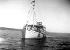 Skrivet på baksidan: M/V Poseidon, byggd i Hälleviksstrand omkr. 1920