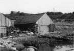 Skrivet på baksidan: Åmøy - kåser og näuster 28/8 1967
Fotograf: Henning Henningsen
Fotot taget: 1967-08-28