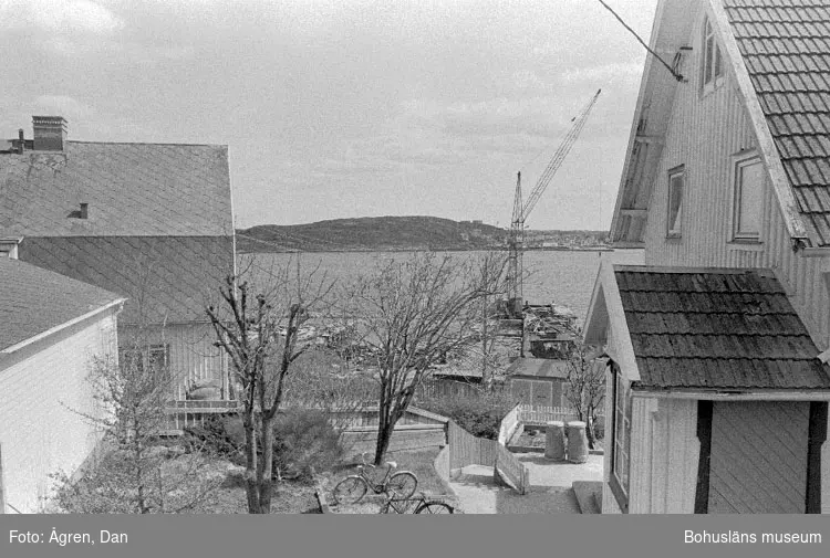 Motivbeskrivning: "Bebyggelse på Hälsö, utsikt över Hälsö mot Ö."
Datum: 19800502