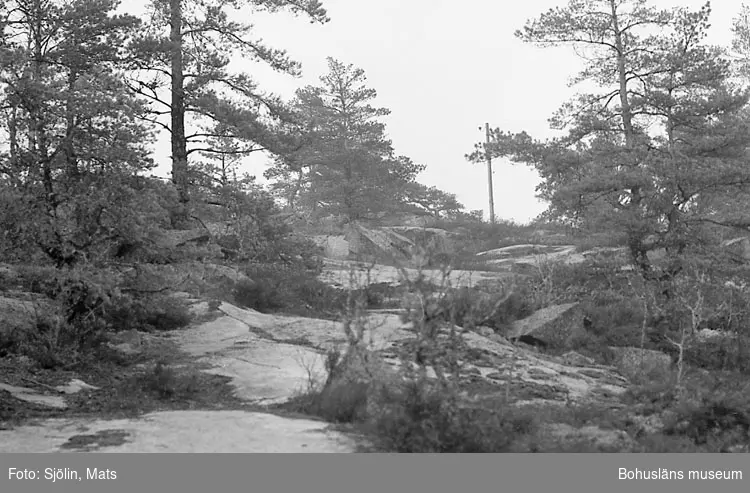 Bohusläns samhälls- och näringsliv. 2. STENINDUSTRIN.
Film: 5

Text som medföljde bilden: "Div. småbrott ost. Dynekilen. April -77. Bild 151-169 mindre stenbrott beläget på 75 m kurvan strax norr om Hälle och E6:an. Marken tillhör Johan Dynefors som kan lämna närmare uppgifter om brottet."