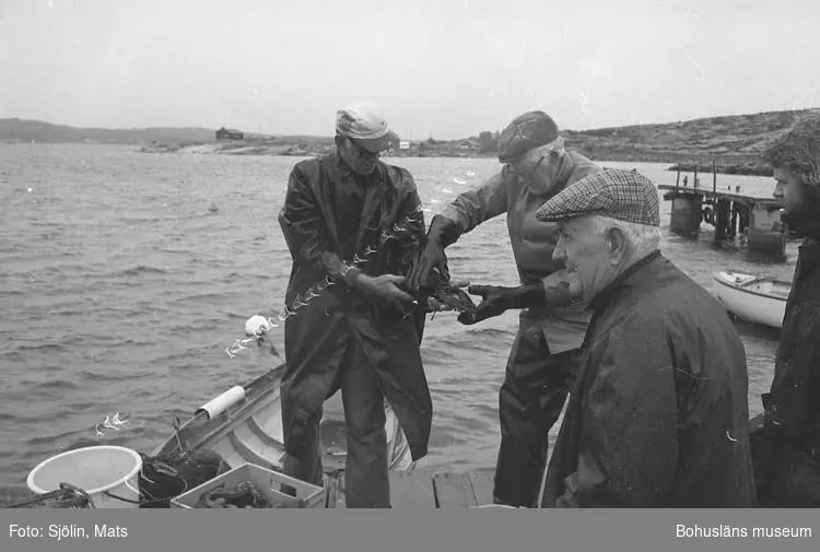 Hummerfiskarna Albert Johansson, Verner Lans och Karl Bruce på Ramsvik