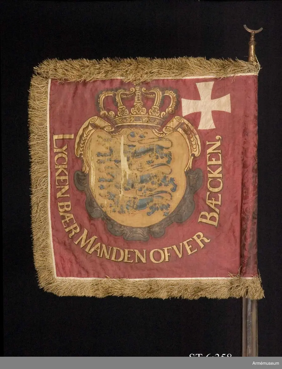 Standar av djupröd mönstrad sidendamast med Själlands vapen och vitt kors i målning och applikation. Duken är dubbel, av europeisk sidendamast med ett Dannebrogskors av applicerat vitt omönstrat siden i övre stångsidehörnet. I mitten en infälld krönt vapensköld av gul sidendamast i intarsiateknik med Själlands vapen, tre målade blå leoparder. På sidorna och nertill texten ”Lycken bær Manden ofver Bæcken” (Lyckan bär mannen över bäcken).
Runt kanten tredubbel frans i silke, troligen ursprungligen vit.
Spetsen är av förgyllt järn och avbruten, ursprungligen bladformad, endast nederdelen bevarad.