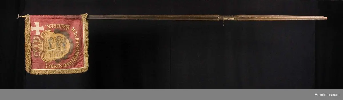 Standar av djupröd mönstrad sidendamast med Själlands vapen och vitt kors i målning och applikation. Duken är dubbel, av europeisk sidendamast med ett Dannebrogskors av applicerat vitt omönstrat siden i övre stångsidehörnet. I mitten en infälld krönt vapensköld av gul sidendamast i intarsiateknik med Själlands vapen, tre målade blå leoparder. På sidorna och nertill texten ”Lycken bær Manden ofver Bæcken” (Lyckan bär mannen över bäcken).
Runt kanten tredubbel frans i silke, troligen ursprungligen vit.
Spetsen är av förgyllt järn och avbruten, ursprungligen bladformad, endast nederdelen bevarad.