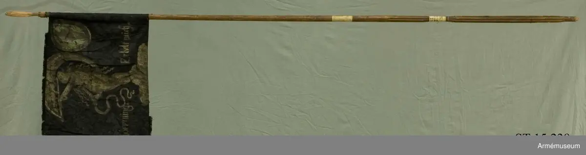 Fanduk av svart europeisk sidendamast med påmålad dekor i silver och grönt. Motivet är en dragon med hatt och kyller hållande en karbin i höger hand och i vänster en häst vid tygeln. På frånsidan Fortuna. På båda sidor är en målad medaljong i stångsidans övre hörn föreställande jungfru Maria med Jesusbarnet stående på en månskära.
Text på framsidan: "Ad utrumque paratus", på frånsidan "Hoffnung erhält mich".