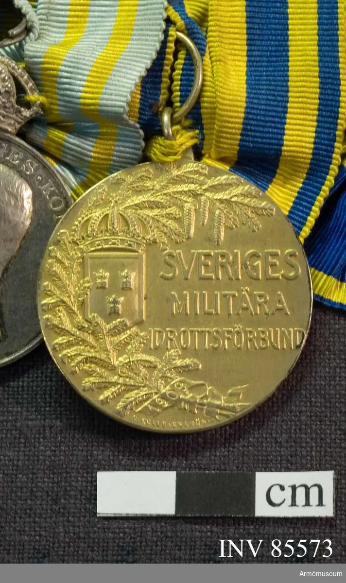 Grupp: M. 
Medaljen saknar ytterrand, har överst en fast diameter 33 mm ögla för bandhållaren. Åtsidan: Å mittpartiet till högeri relief: SVERIGES MILITÄRA IDROTTSFÖRBUND, i avtagande storlek på 3 rader. Till venster därom, likaledes i mitten av rektangulär, nedåt tillspetsad slät sköld med en slät, upphöjd kant och Sveriges tre kronor samt en stor kunglig krona över skölden. Längst till venster, följande medaljens kontur och upptagande 2/3 av dess längd en grankvist med kottar, delvis inlagd på sköldens venstra sida. Nederst en lös bandknut, varå är inpräglat 1909. Nedan för kvisten: S. KULLE. GRAVÖR.
På frånsidan synes till venster Svea, seende åt höger, i fotsid dräkt och med hårflätor virade omkring huvudet, håller i högra handen en mot marken stödd spetsig, slät sköld med släta, upphöjda kanter och prydd av Sveriges tre kronor. Den venstra armen är framsträckt, och handen håller en lagerkvist. I medaljens mitt läses i inpräglade bokstäver: KAPTEN K.A.B. AMUNDSON 1911 på 3 rader. Vid Sveas fot tallkvistar. Nederst  V. CARLBERG P. 
Bandet gult med 4 mellanblå ränder, 2 bredare innerst och 2 smalare utåt. Beskr. Prn. 
Förvaras: på nål tillsammans med andra svenska dekorationer, förråd -56. 