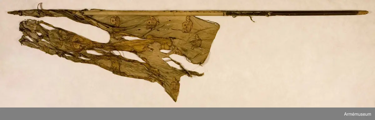Kompanifana m/1686