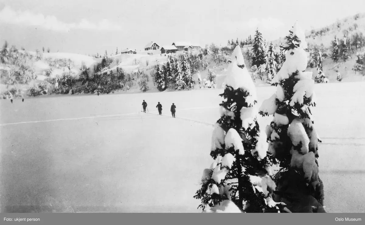 islagt vann, snø, skog, skiløpere, husmannsplass